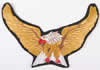 Ampliar - Aguila 1