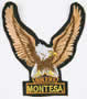 Ampliar - Aguila m
