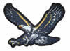 Ampliar - Aguila n p