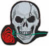 Ampliar - Calavera rosa roja